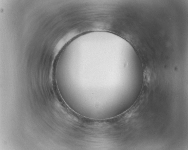 X0000055510292200508262147