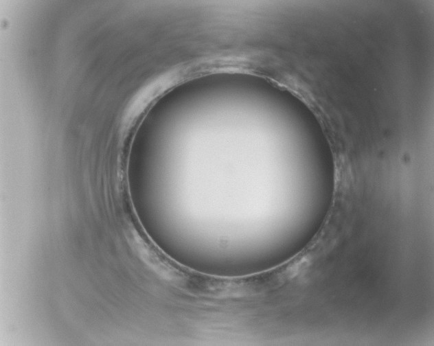 X0000055510293200508262147