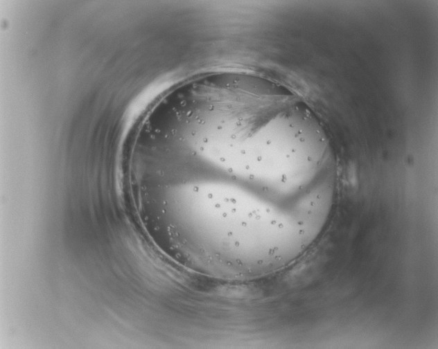 X0000055510294200508262147