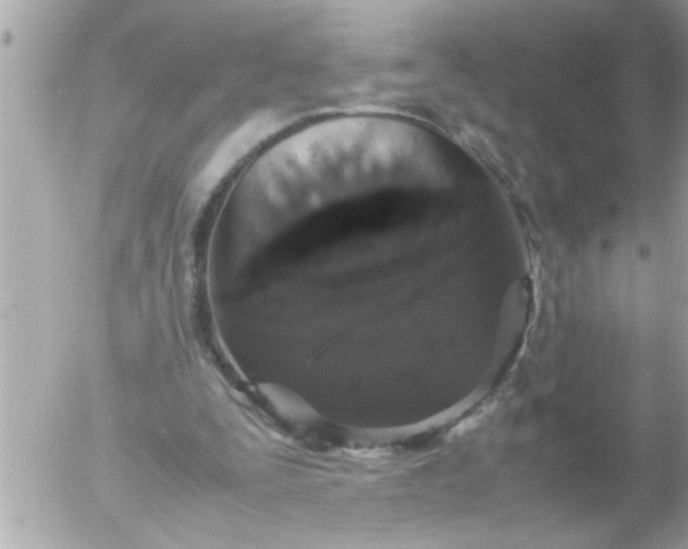 X0000055510295200508262147