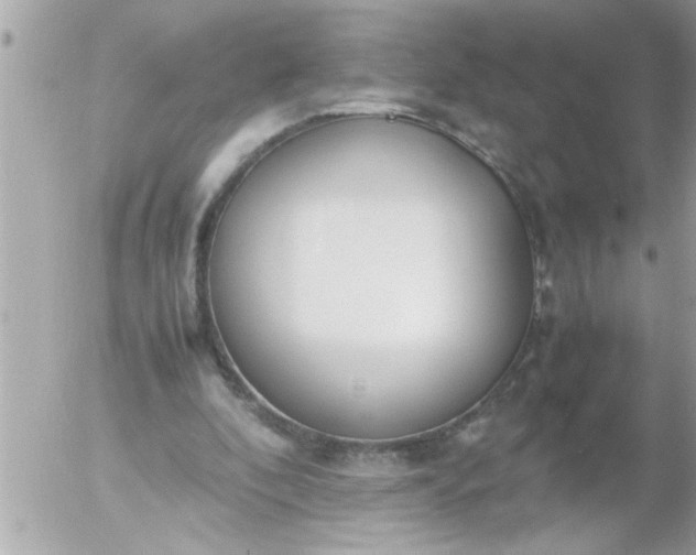 X0000055510296200508262147