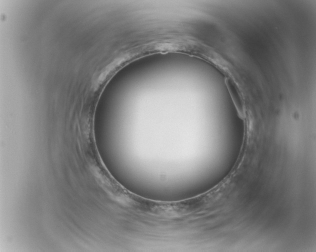 X0000055510297200508262147