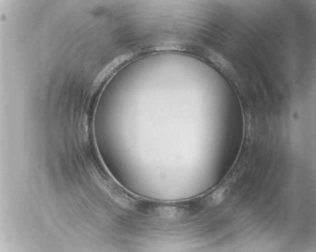 X0000055510298200508262147