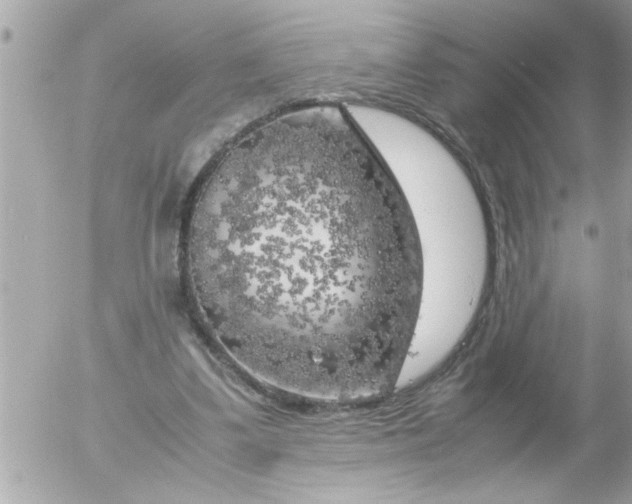 X0000055510299200508262147