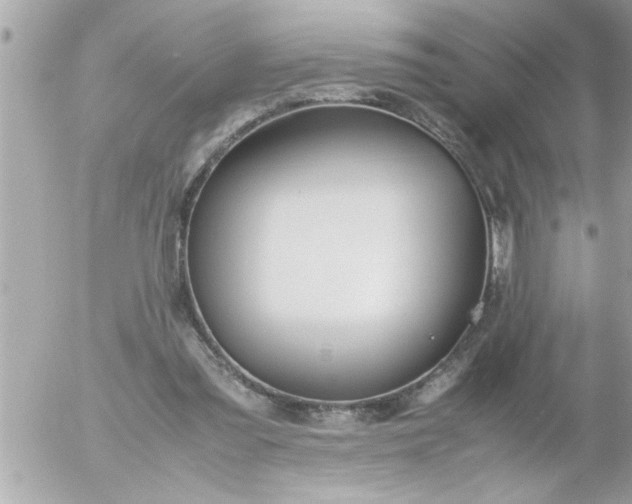 X0000055510301200508262147