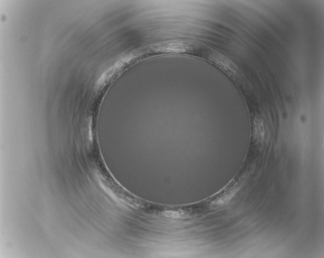 X0000055510302200508262147