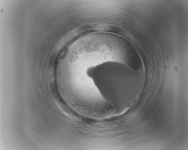 X0000055510303200508262147