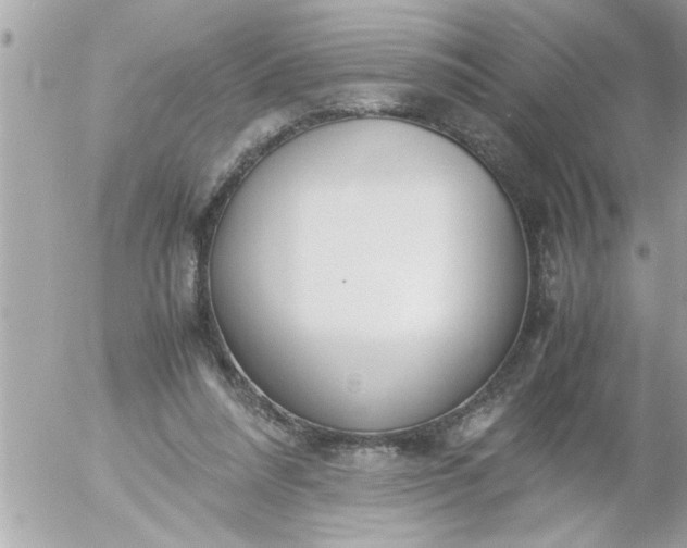 X0000055510304200508262147