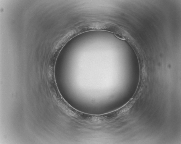 X0000055510305200508262147