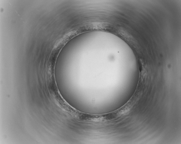 X0000055510306200508262147