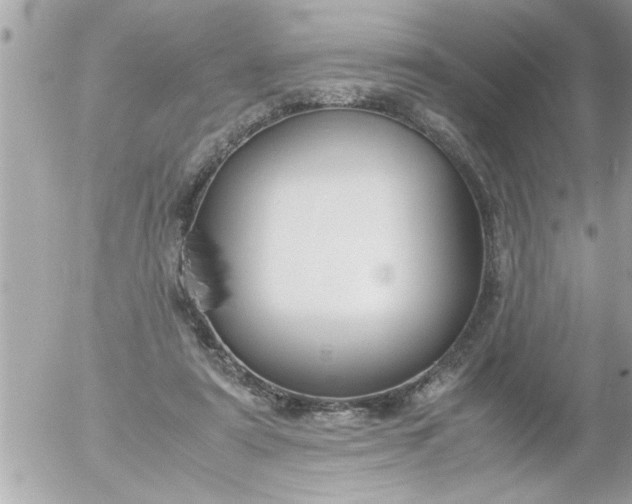 X0000055510307200508262147