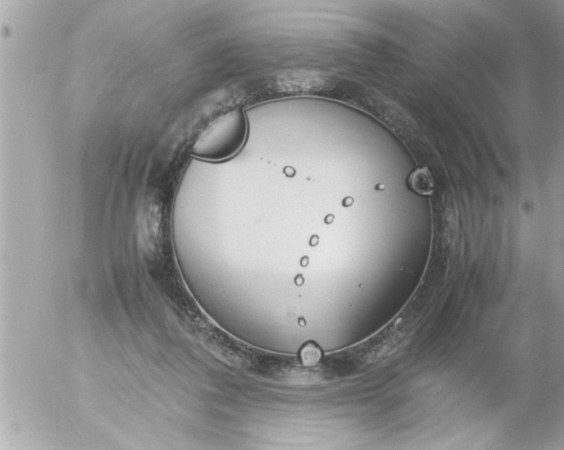 X0000055510308200508262147