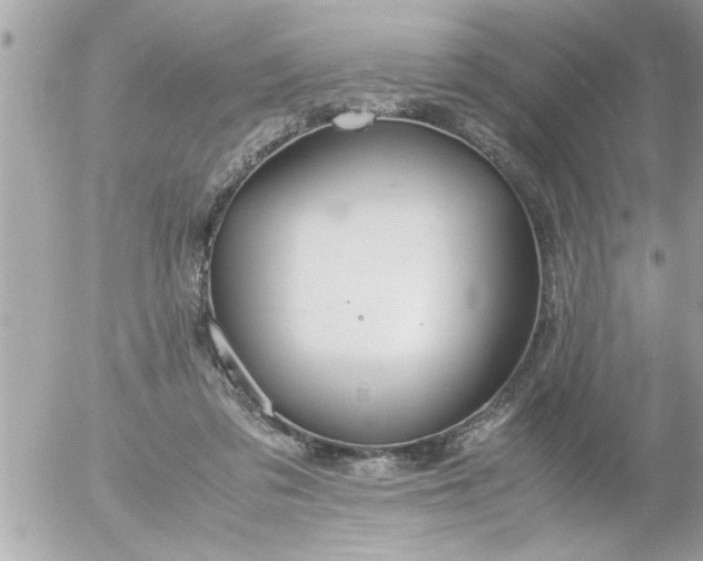 X0000055510309200508262147