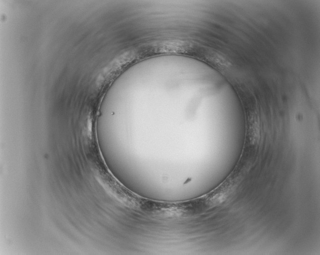 X0000055510310200508262147