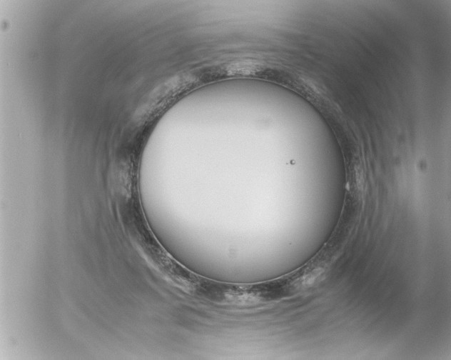 X0000055510311200508262147