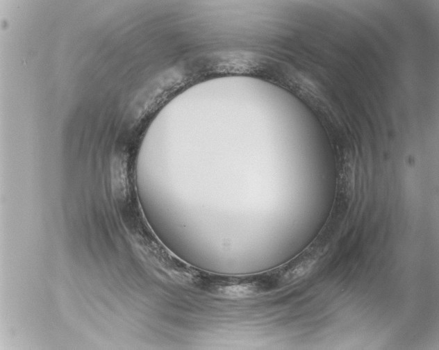 X0000055510312200508262147