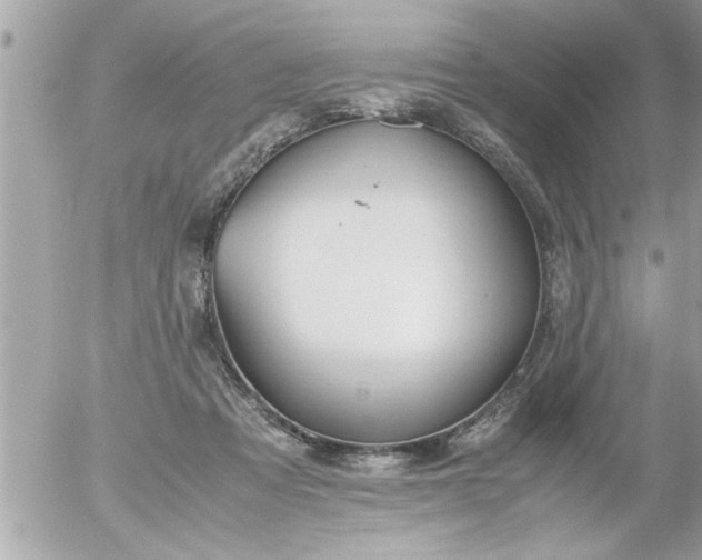 X0000055510313200508262147