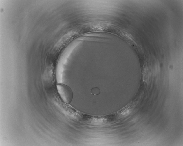 X0000055510314200508262147