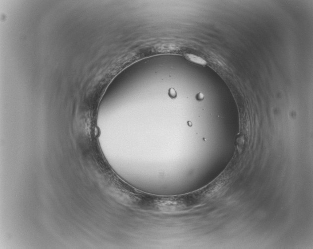 X0000055510315200508262147