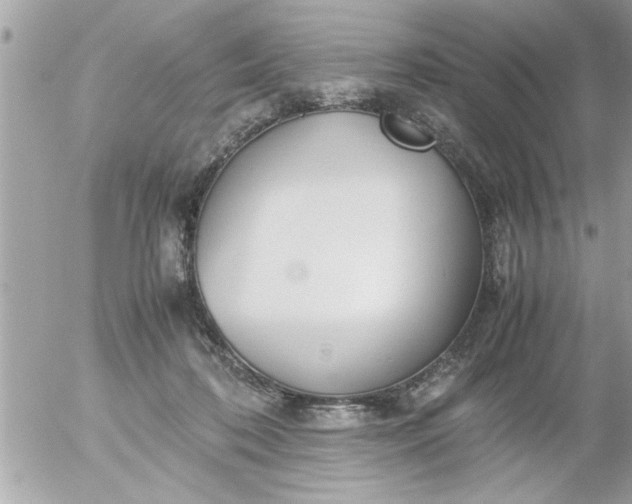 X0000055510316200508262147