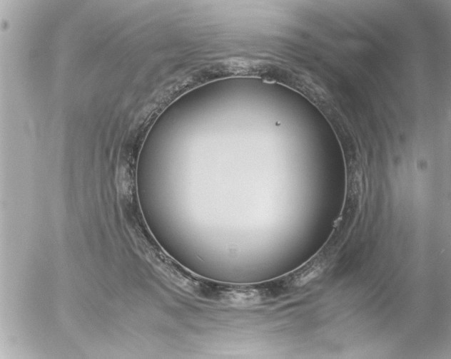 X0000055510317200508262147