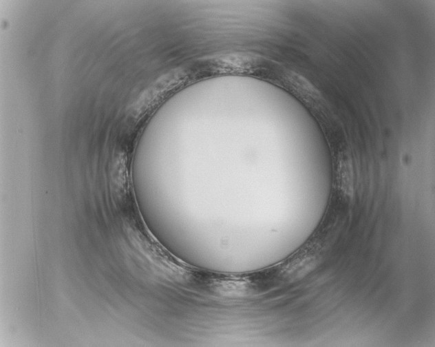 X0000055510318200508262147