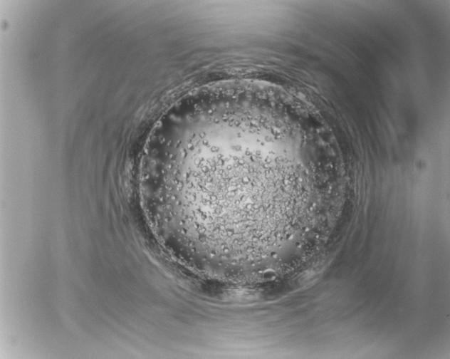 X0000055510319200508262147