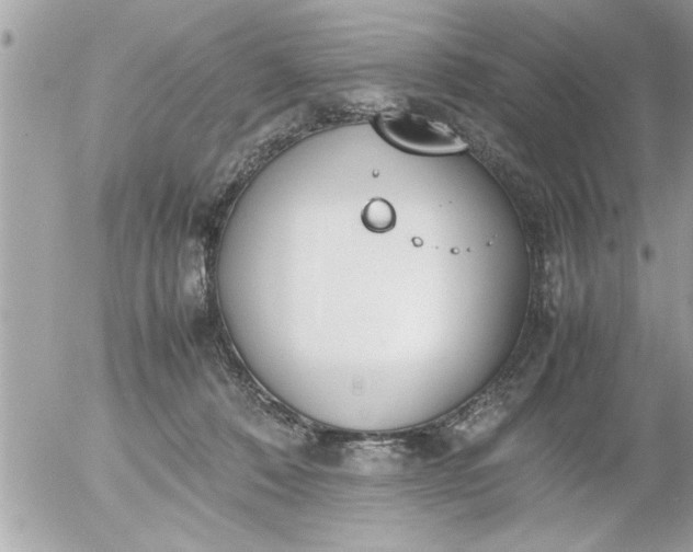 X0000055510320200508262147