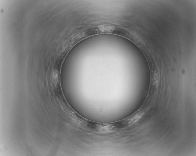 X0000055510321200508262147