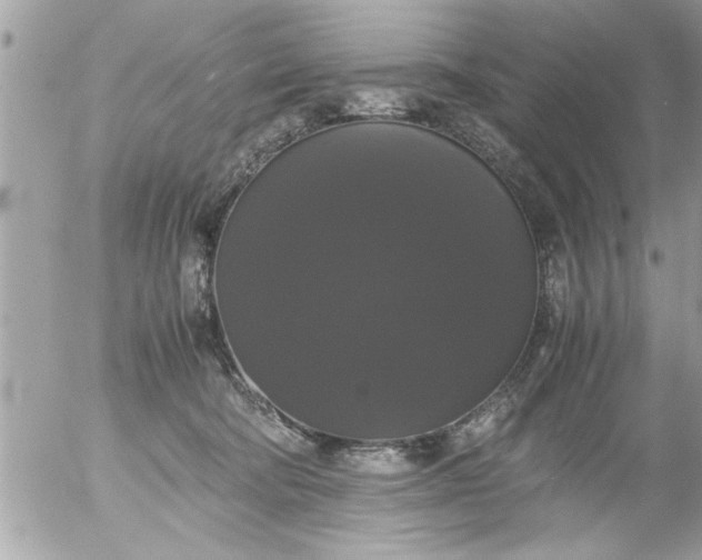 X0000055510322200508262147