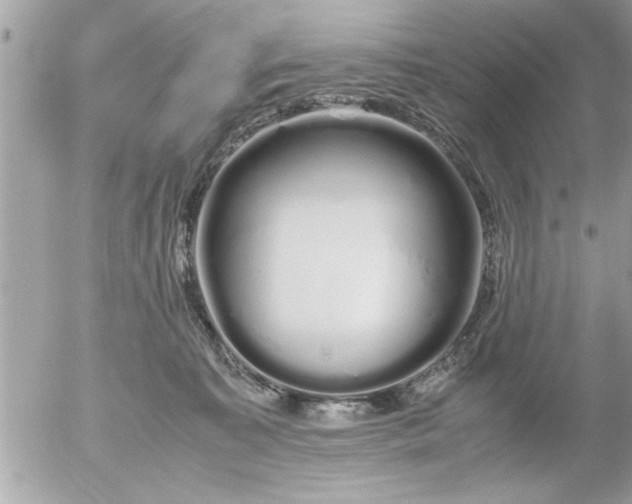 X0000055510323200508262147