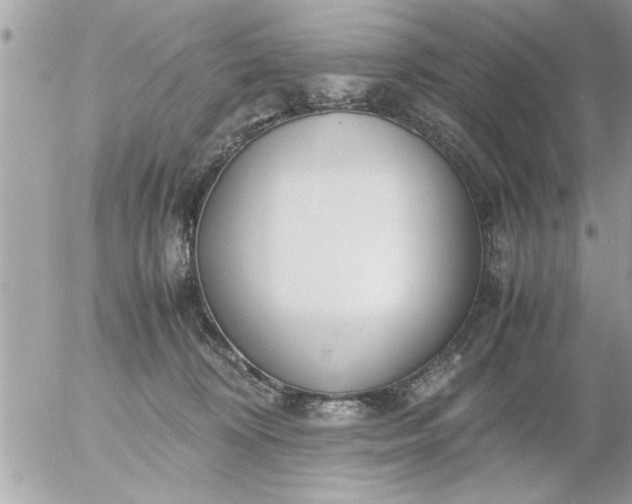 X0000055510324200508262147