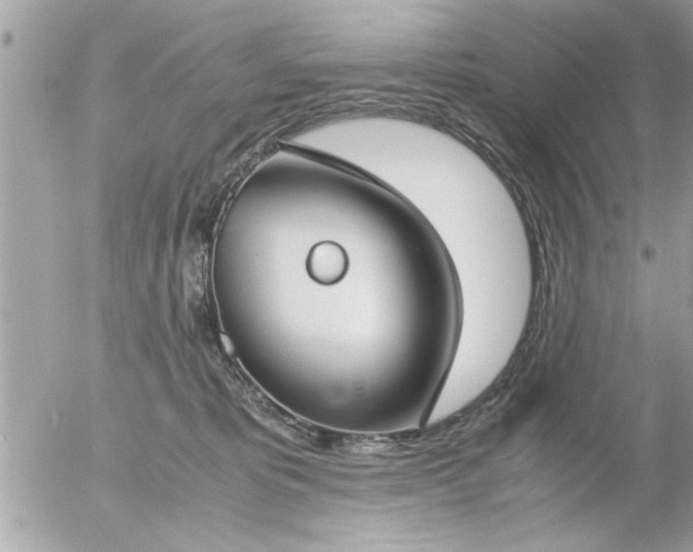 X0000055510325200508262147