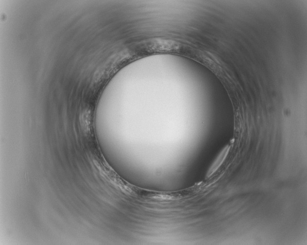 X0000055510326200508262147