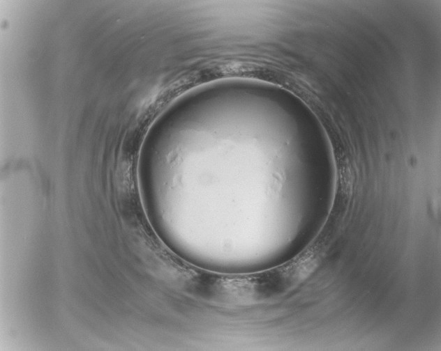 X0000055510327200508262147