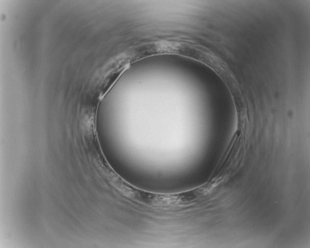 X0000055510329200508262147