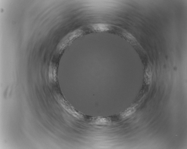 X0000055510330200508262147