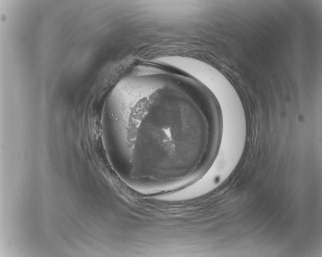 X0000055510331200508262146