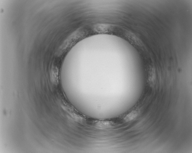 X0000055510332200508262146