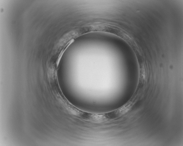 X0000055510333200508262146