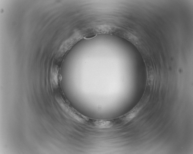 X0000055510334200508262146