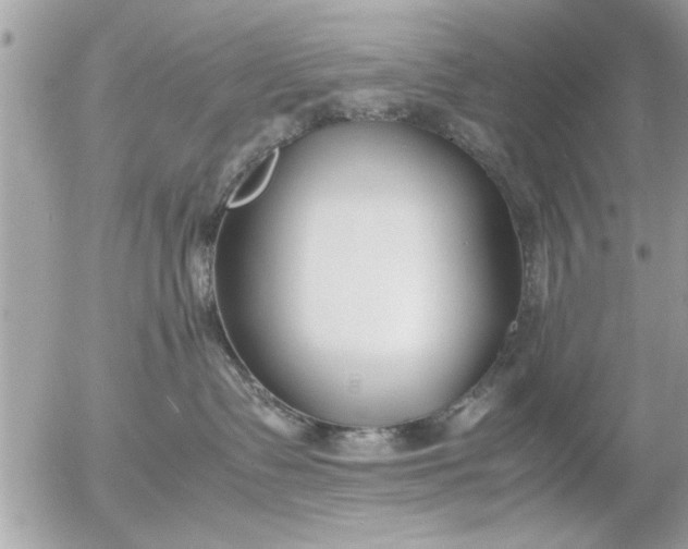 X0000055510335200508262146