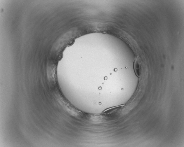 X0000055510336200508262146