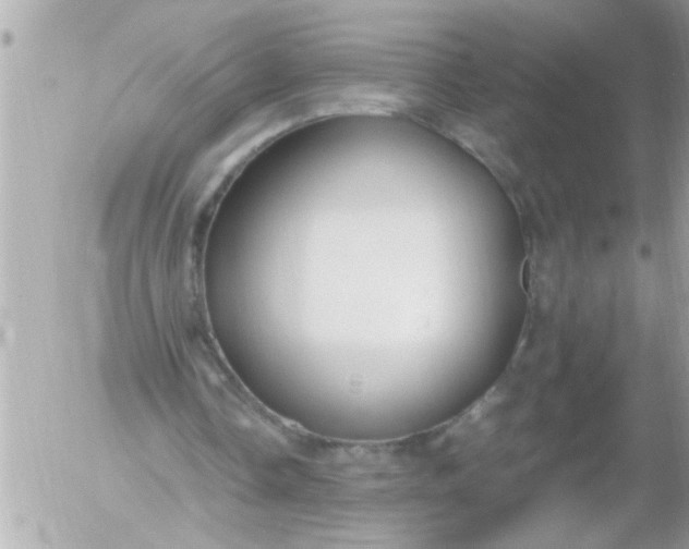 X0000055510338200508262146