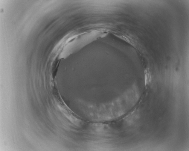 X0000055510339200508262146