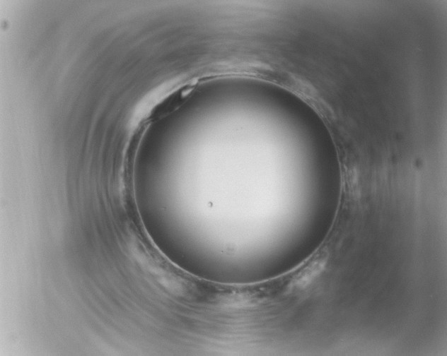 X0000055510340200508262146