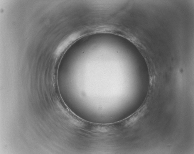 X0000055510341200508262146