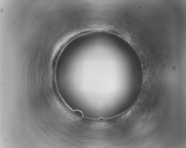 X0000055510342200508262146