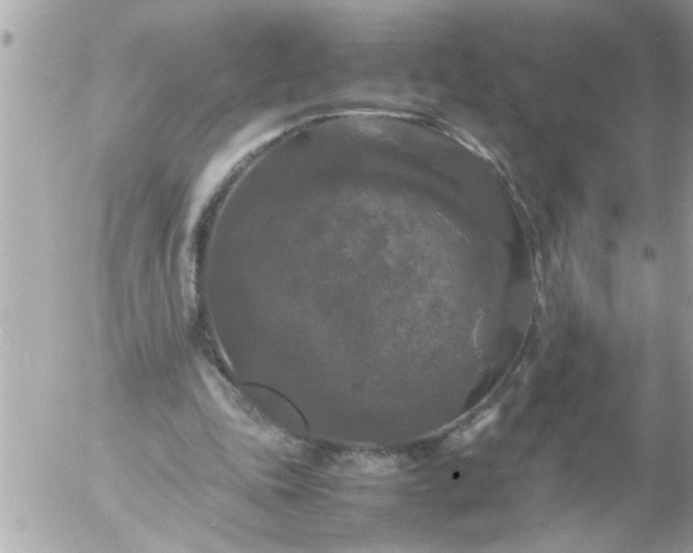 X0000055510343200508262146