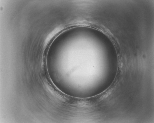 X0000055510344200508262146